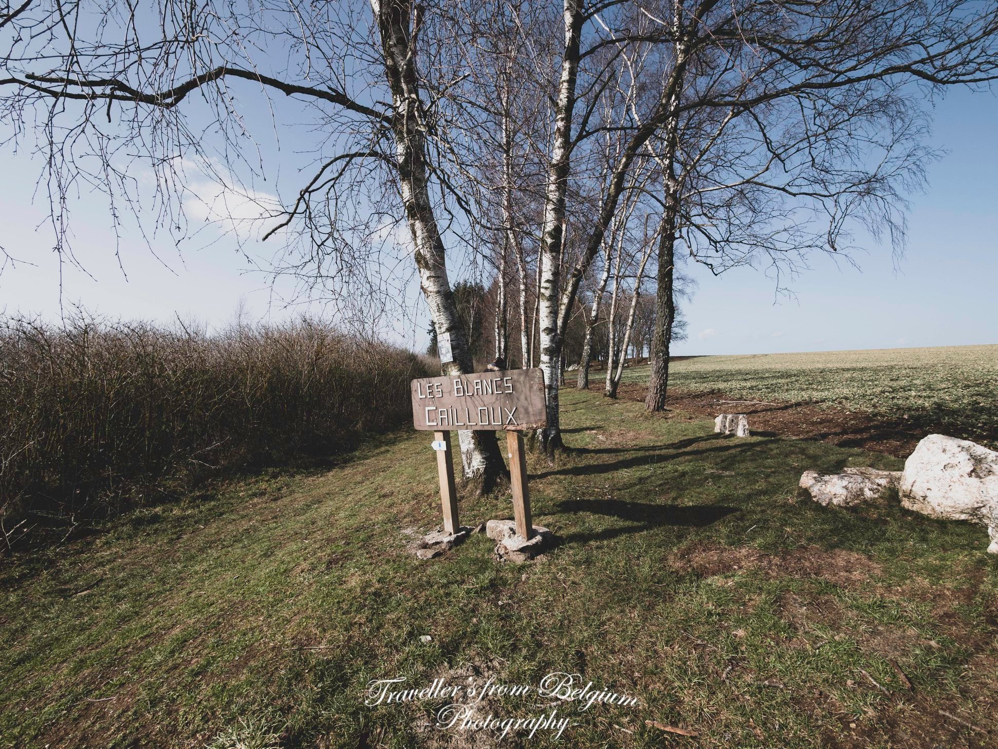 🌲 La balade des Blancs Cailloux de Mousny – Mystères et nature en Ardenne